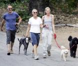 Portia De Rossi et Ellen DeGeneres promènent leurs chiens à Hollywood