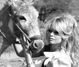 Brigitte Bardot sur le tournage du film Viva Maria, en 1965 