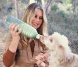 Brigitte Bardot, une véritable passionnée des animaux... 
