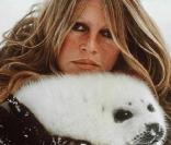 Brigitte Bardot et son combat pour la protection des phoques... 