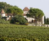 Henri de Laborde de Monpezat, prince consort de Danemark, dans les vignes de son château de Caïx le 24 septembre 2009, domaine producteur d'un Cahors réputé