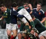 Le XV de France s'est imposé face aux champions du monde sud-africains, au Stadium de Toulouse, le 13 novembre 2009.