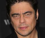 Benicio Del Toro, à l'occasion du photocall de  Wolfman , dans l'enceinte de l'Hotel Adlon de Berlin, le 25 janvier 2010.