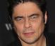 Benicio Del Toro, à l'occasion du photocall de  Wolfman , dans l'enceinte de l'Hotel Adlon de Berlin, le 25 janvier 2010.