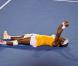 Serena Williams a remporté l'Open d'Australie 2010 en simple et en double (associée à sa soeur Venus)...