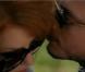 Shirley Manson et Elijah Wood forment un couple inénarrablement voluptueux pour la campagne 2010 Oliver Peoples. De quoi nous sauver de l'ennui...