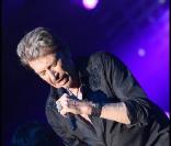 Avec deux nominations, Johnny Hallyday sera-t-il le grand vainqueur de ces 25e Victoires de la Musique ?