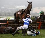 Un accident entre les cavaliers David Casey et Henry Oliver lors de la course hippique à Cheltenham le 19 mars 2010