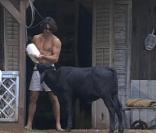 Comme tous les matins, Greg ne tarde pas à s'occuper des animaux 
