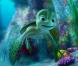 La bande-annonce du Voyage extraordinaire de Samy