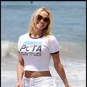 Pamela Anderson, amie des bêtes devant l'éternel : admirez son sublime... lâcher de pélicans !