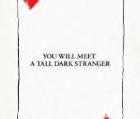 You Will Meet A Tall Dark Stranger de Woody Allen