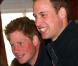 Le prince William et Harry visitaient mardi 15 juin une réserve naturelle au Botswana