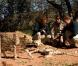 Le prince William et Harry visitaient mardi 15 juin une réserve naturelle au Botswana