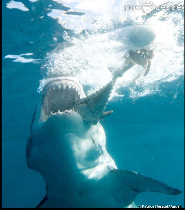 rencontre en australie