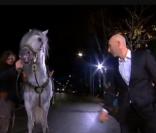 Nicolas Canteloup gare son cheval avant d'arriver dans le studio Gabriel pour l'émission Champs-Elysées (diffusée le 13 novembre 2010 sur France 2)