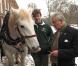 Le 3 décembre 2010, le prince Charles réceptionnait son sapin de Noël, porté par un Percheron. Son épouse Camilla, dans le même temps, se démultipliait entre inaugurations et rencontres avec des écoliers.