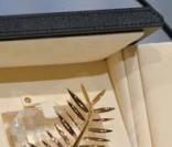Festival de Cannes : demandez le programme !
