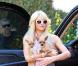 Paris Hilton ne cache plus ses rondeurs... Ces clichés l'illustrant avec ses chihuahuas à Los Angeles, le dimanche 23 janvier, font quasiment office de preuve.