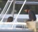 Eva Longoria et Eduardo Cruz sur un yacht à Miami le 5 février 2011
