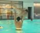 Bigard se jette dans le grand bain pour tenter de réussir son porté
