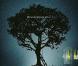 Des images de The Tree of Life , de Terrence Malick, en salles le 18 mai 2011.
