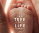 Des images de The Tree of Life , de Terrence Malick, en salles le 18 mai 2011.