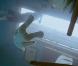 Des images de The Tree of Life , de Terrence Malick, en salles le 18 mai 2011.