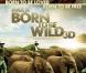 La bande annonce de  Born to be wild 3D , un documentaire de 40 minutes sur la vie des orangs-outans et éléphants orphelins