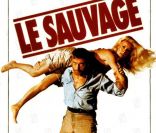 L'affiche du film Le Sauvage