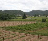 Image de Correns dans le sud de la France où Angelina Jolie et Brad Pitt ont acheté le château de Miraval  