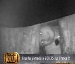 Amaury Vassili dans Fort Boyard