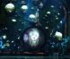  Zarkana , un spectacle du Cirque du Soleil présenté actuellement à New York.