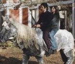 Un cheval, Charlotte Gainsbourg et Gael Garcia Bernal dans La Science des Rêves