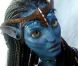 Les deux héros d'Avatar