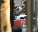 Jessica Alba, à Milan, avec des amis et sa petite dernière, Haven, 3 mois. Vendredi 11 novembre 2011