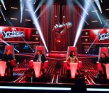 Les quatre coachs de The Voice