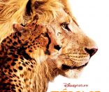 L'affiche du film Félins 