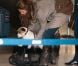 La princesse Madeleine et son Jack Russell nommé Zorro au départ des Etats-Unis, le 28 février 2012 à l'aéroport de Newark, destination la Suède, où elle doit découvrir sa nièce la princesse Estelle, née le 23 février.