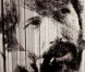  Argo  de et avec Ben Affleck, et Bryan Cranston, John Goodman, Kyle Chandler, Victor Garber et Alan Arkin. En salles le 12 septembre.