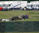 Le tournage du film Maleficent avec Angelina Jolie en sorcière à cornes, en Grande-Bretagne le 20 juin 2012