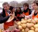Masterchef saison 3, épisode du 23 août 2012 sur TF1 - L'équipe orange