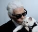 Karl Lagerfeld : Sa nouvelle muse, Choupette, est un chat gâté et maniéré