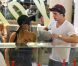 Paris Hilton, tout sourire, à l'aéroport LAX de Los Angeles, en compagnie de son boyfriend, le vendredi 21 septembre 2012.