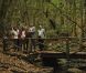 Le prince Felipe et la princesse Letizia d'Espagne en visite au Parc national de Garanojay sur l'île de La Gomera, dans les Canaries, le 27 septembre 2012 à l'occasion de la Journée mondiale du tourisme.