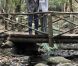 La princesse Letizia et le prince Felipe d'Espagne en promenade presque en amoureux au Parc national de Garanojay sur l'île de La Gomera, dans les Canaries, le 27 septembre 2012 à l'occasion de la Journée mondiale du tourisme.
