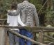 La princesse Letizia et le prince Felipe d'Espagne en promenade presque en amoureux au Parc national de Garanojay sur l'île de La Gomera, dans les Canaries, le 27 septembre 2012 à l'occasion de la Journée mondiale du tourisme.