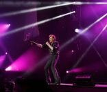Johnny Hallyday en concert au Stade de France, le 17 juin 2012.