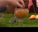 Masterchef 2012, jeudi 25 octobre 2012 sur TF1
