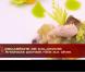 Masterchef 2012, jeudi 25 octobre 2012 sur TF1